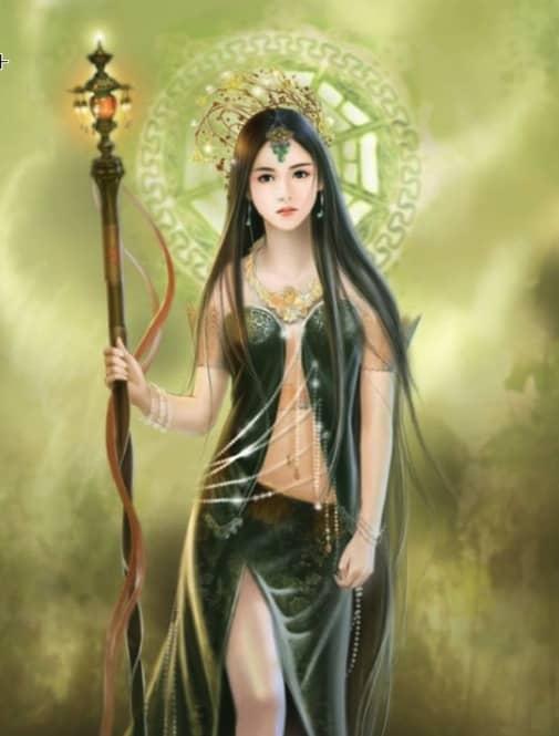 贺宴苏姜梦黎